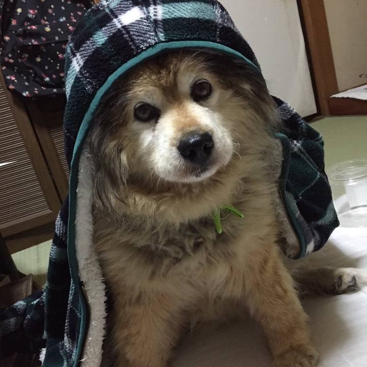 4ea0d039 fe90 478c b99a 43156387bdfd 1593613559068