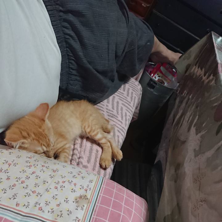 4ea0fb82 dac8 4867 9702 3e8bcad9c005 1630299462248