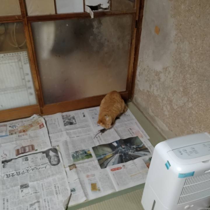 4ea10a2b c509 48a0 bc7e 08678c484255 1668938502367