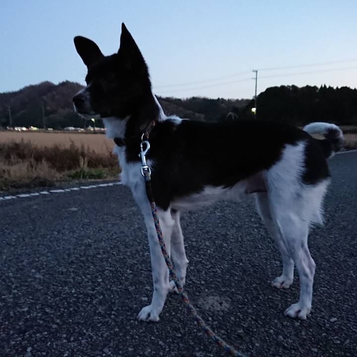 4ea127cb 4f7a 4be9 b426 f7ab02649e0b 1512981045431