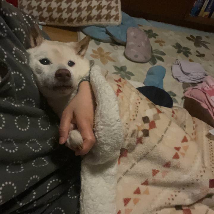 4ea13625 9800 4925 81d6 ad6a4bebe221 1674941565656