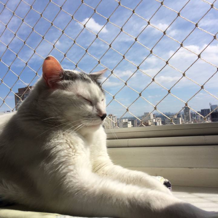 4ea14017 668a 4563 b72d 2f1e16abc55b 1544487586361