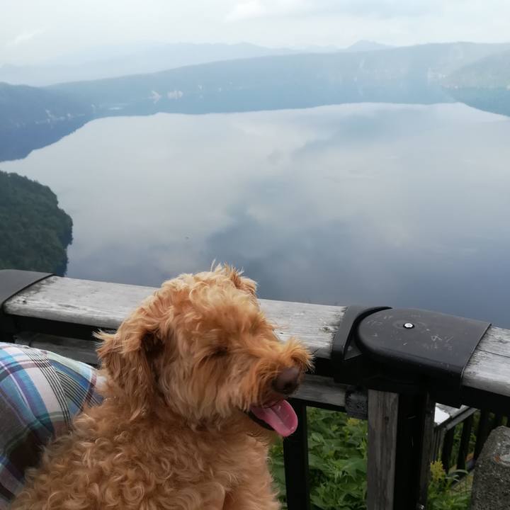 4ea17b32 71b1 48bc 899a bbfe25341d0e 1532170964102