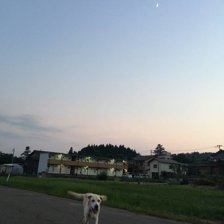 4ea1fca2 6bfd 48a7 80be 4dfc9b673db7 1531910580959