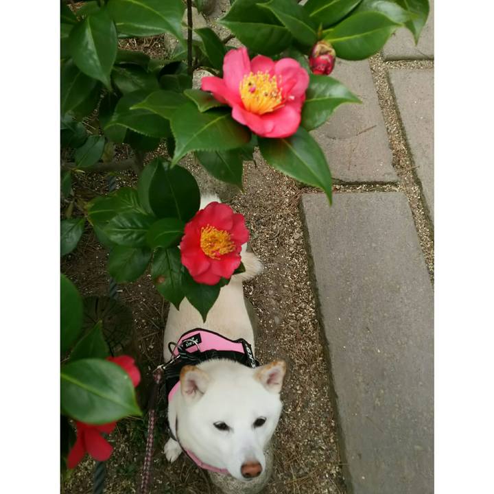 4ea20349 73cd 48d5 9bf5 107a46f296e5 1522298152962