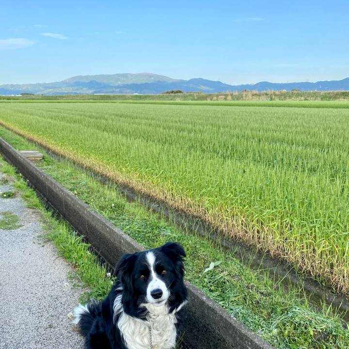 4ea239f9 9c10 4b84 b639 22e675634d65 1617665646635