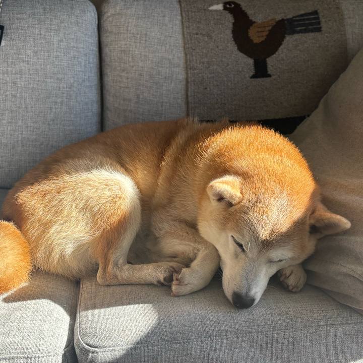 4ea2584e be16 4873 bfb1 8be4452d56c2 1735511528790