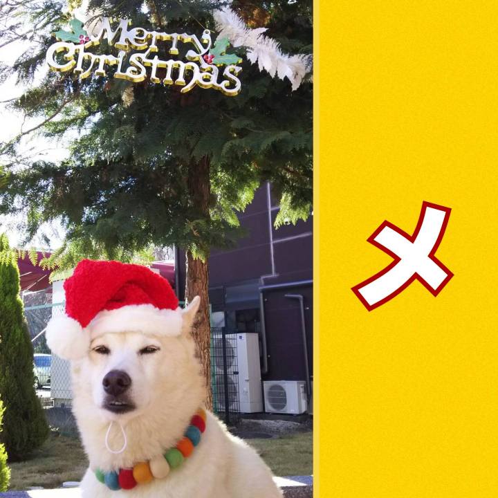 4ea28793 45b7 41a5 8f20 d12a641fff28 1577191829827