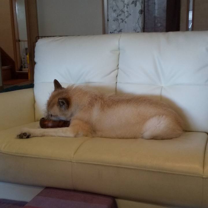 4ea2991e f75a 4adb 9b04 681da5557131 1563863057485