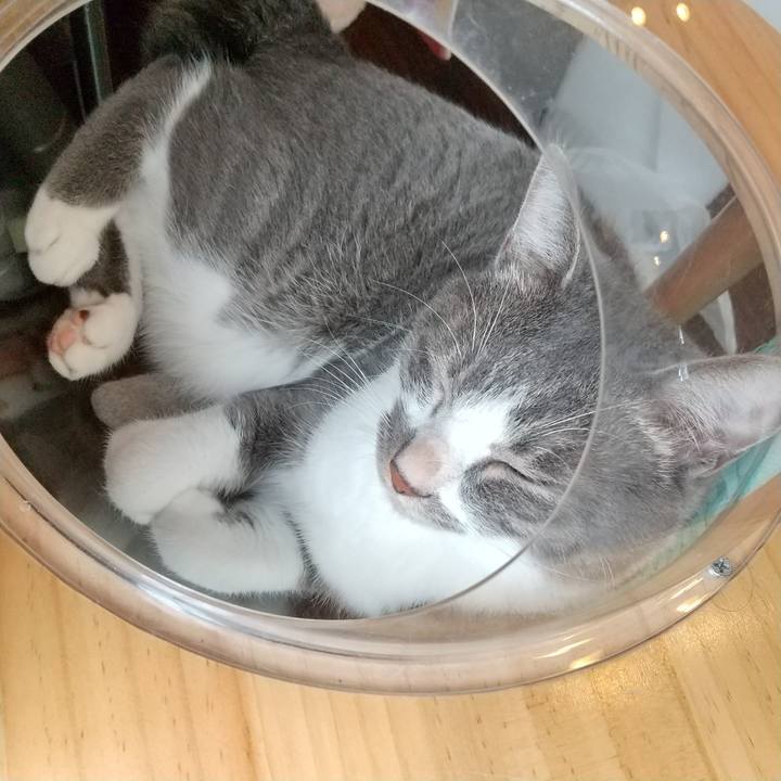 4ea2f22d 0a5c 476f a6a0 91529382fb10 1626147411553