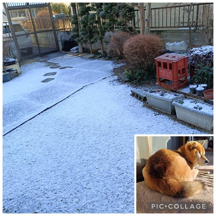 4ea3013c b649 4d95 9e41 59e3969c9b23 1767416504786