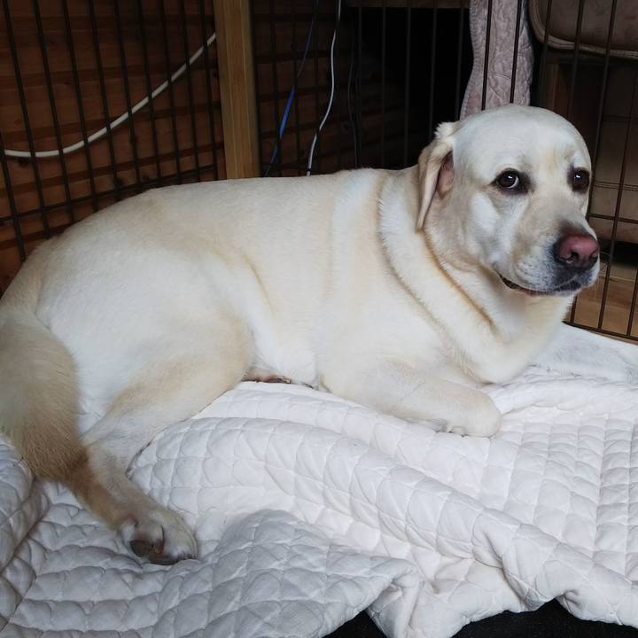 4ea30263 9212 40ee 9592 0911eb0b5393 1564278868428