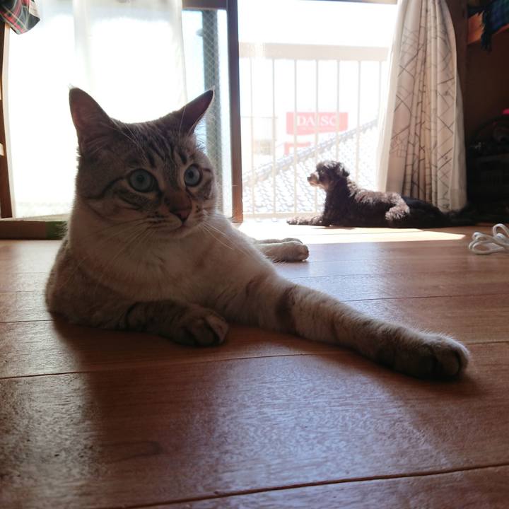 4ea30ebc f530 464c b477 632d6b10a79f 1560643115358