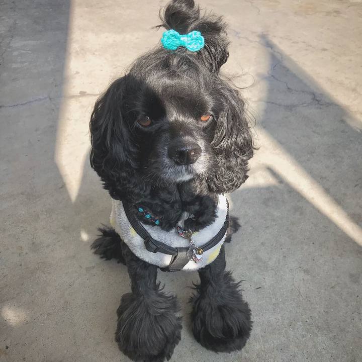 4ea3312a 1bef 4422 8ded bd569b4b2fd9 1574488210430