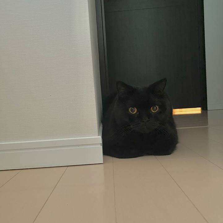 4ea3325f 626b 4f4f 9e43 1788fce0f21e 1728131810963