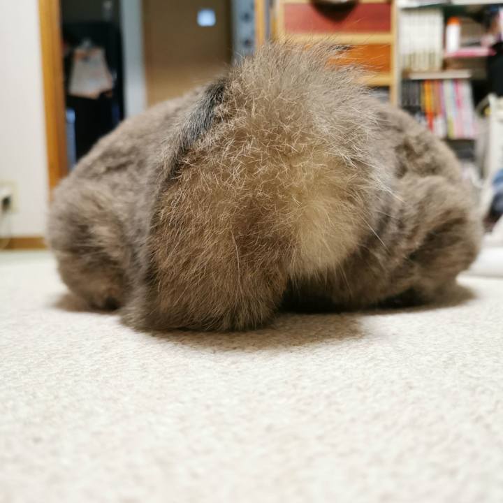 4ea3464f 8b74 4b8b ae4c 463a864f61b3 1638112441565