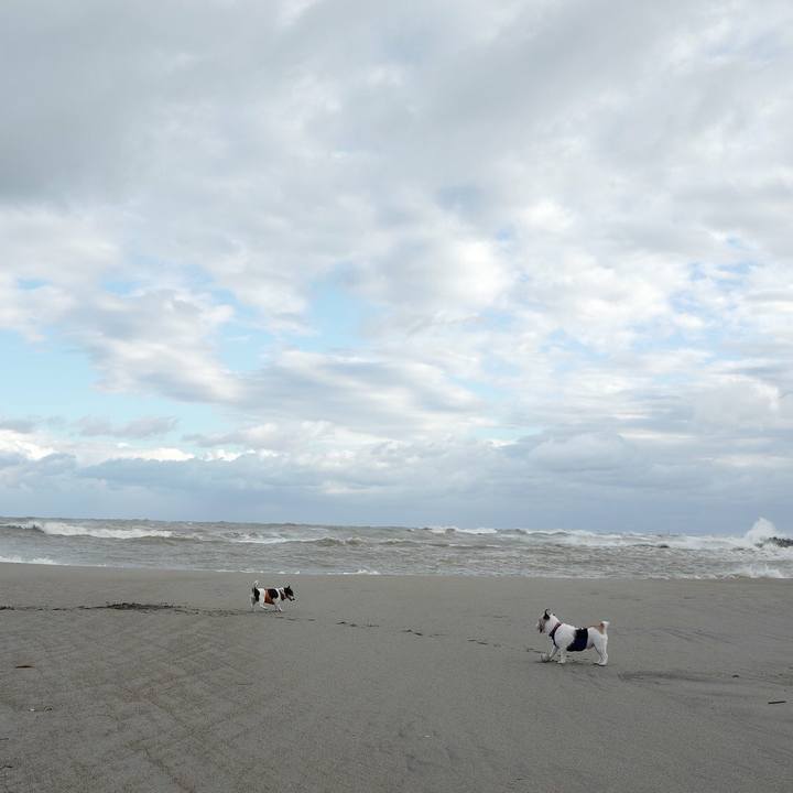 4ea3a498 dca4 43e8 be09 7e2df4793583 1540959495378