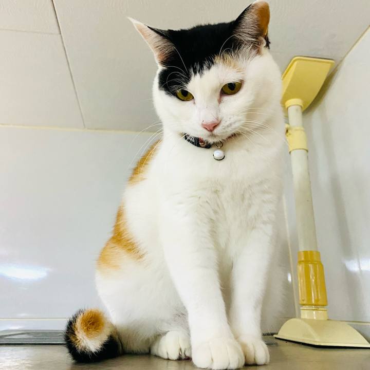 4ea3c32e 3d38 49ad b401 f418dfd71dd1 1674212184182