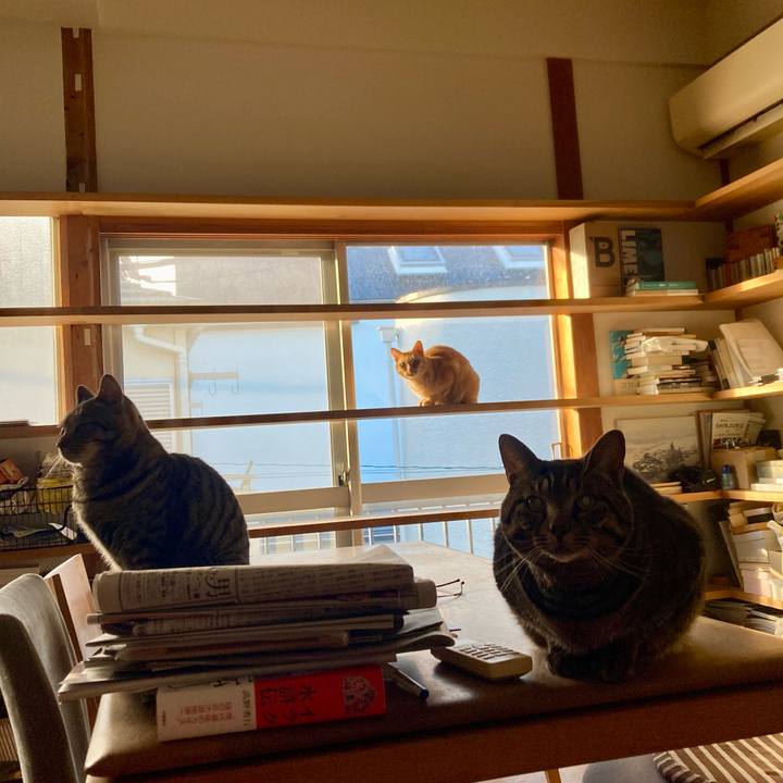 4ea3d870 a11d 4744 b25a cd5e76359cb3 1701476718737