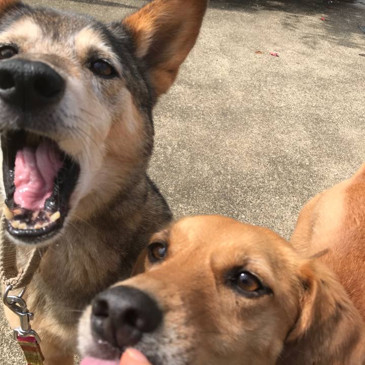 4ea3fb1e 0215 412b bd8b c8cb86c7f9c3 1552345638066