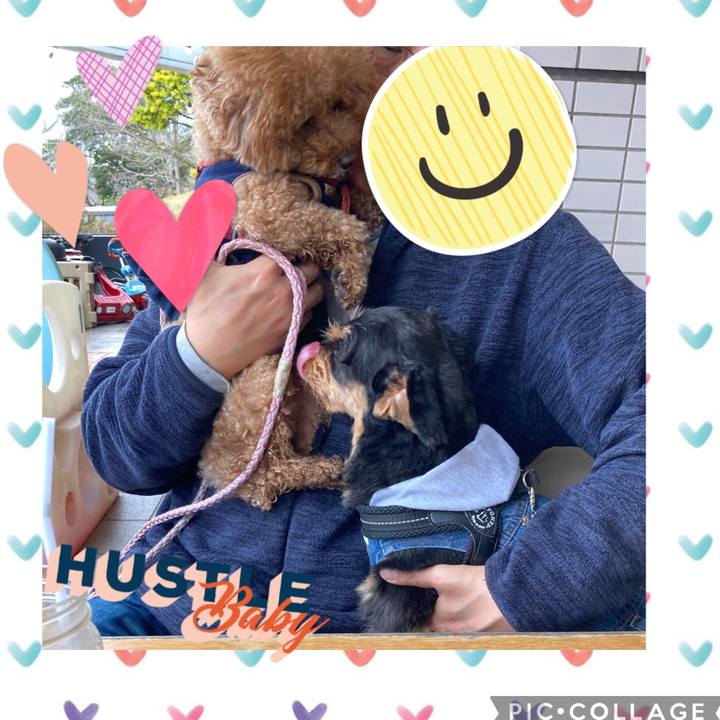 4ea3fc10 6a5a 4606 a17b 1659adbae4d2 1679915316852