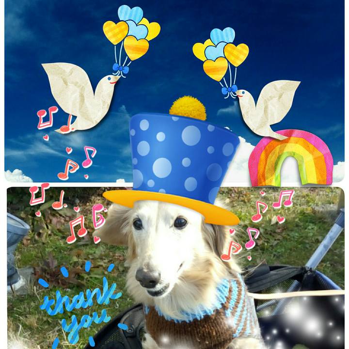 4ea40287 886d 4e11 83c1 c896eed22353 1565507639005