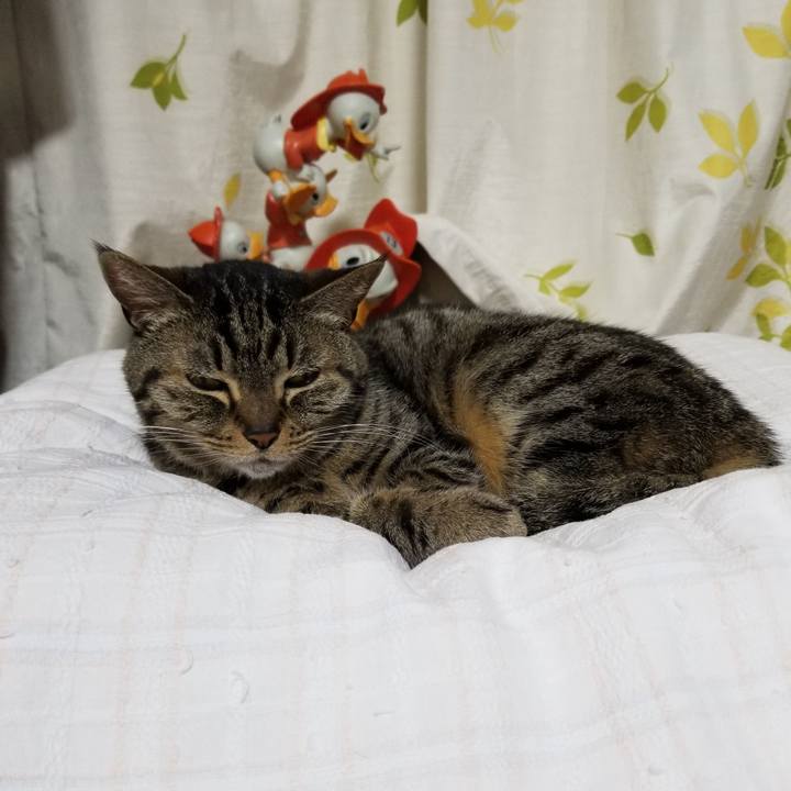 4ea4443b ddf1 4e65 bc18 73d897eabd50 1619958135855