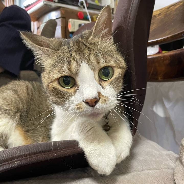 4ea4535c 5bb3 402e ac95 f91c2191e8a1 1756456963443