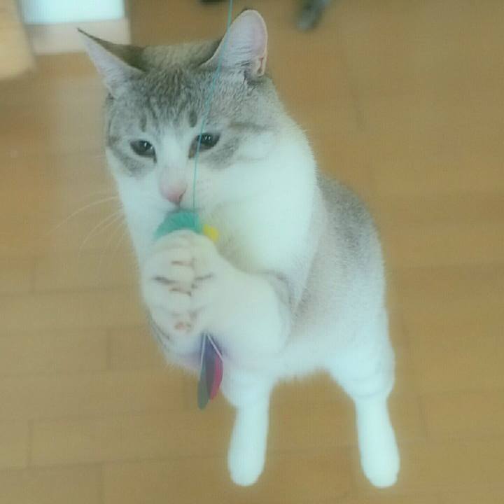 4ea47ab6 dda3 46c2 9d47 3a5aa555867e 1530947094847