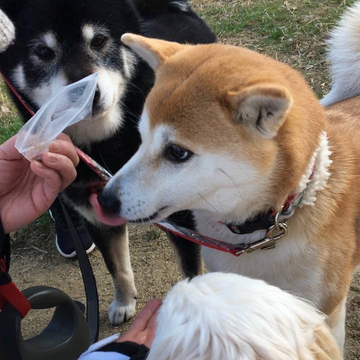 4ea48738 884e 46ac b9cd 644b28a9c823 1581818281540