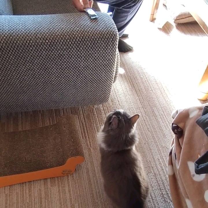 4ea4dc0a 0be0 40e0 900e 53eb4768547b 1703403809650