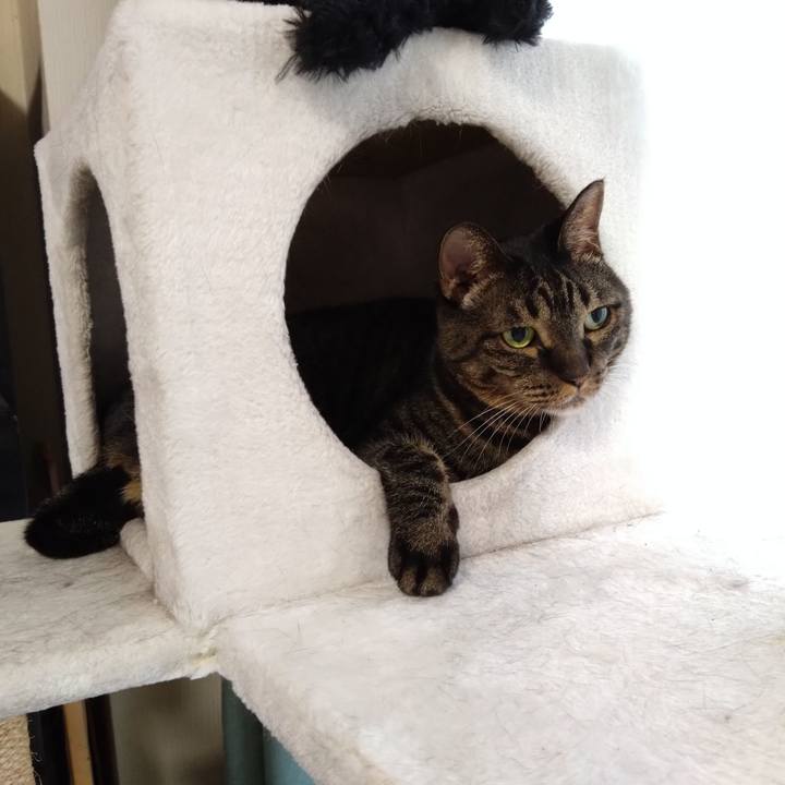 4ea4dee5 eed7 48c3 ace0 7c53ecce5921 1760914853265