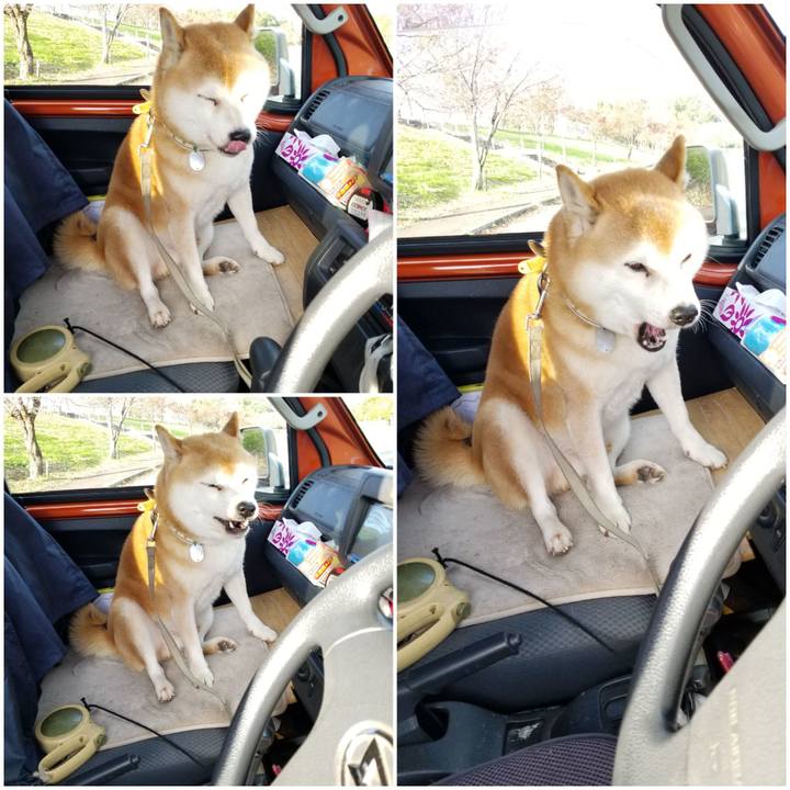 4ea4e555 0dcb 420e 82ca 02435ada58f4 1635424072893