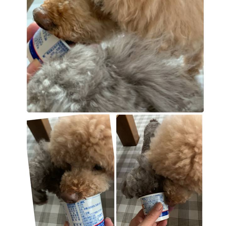 4ea524ed 0c10 4c28 ae36 55dfb0581807 1599083754959