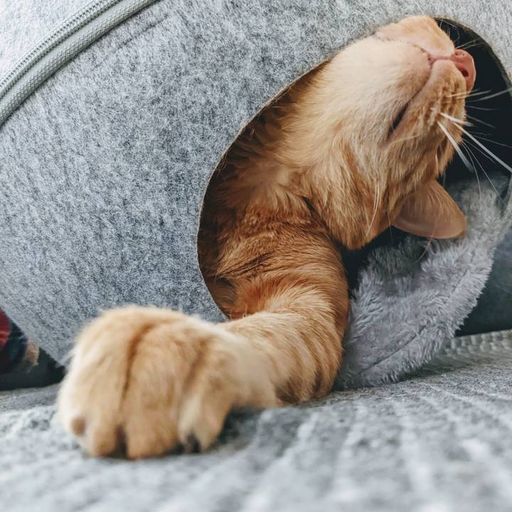 4ea52cf3 7ac1 4861 896e dc1d0380d9bc 1639609560745