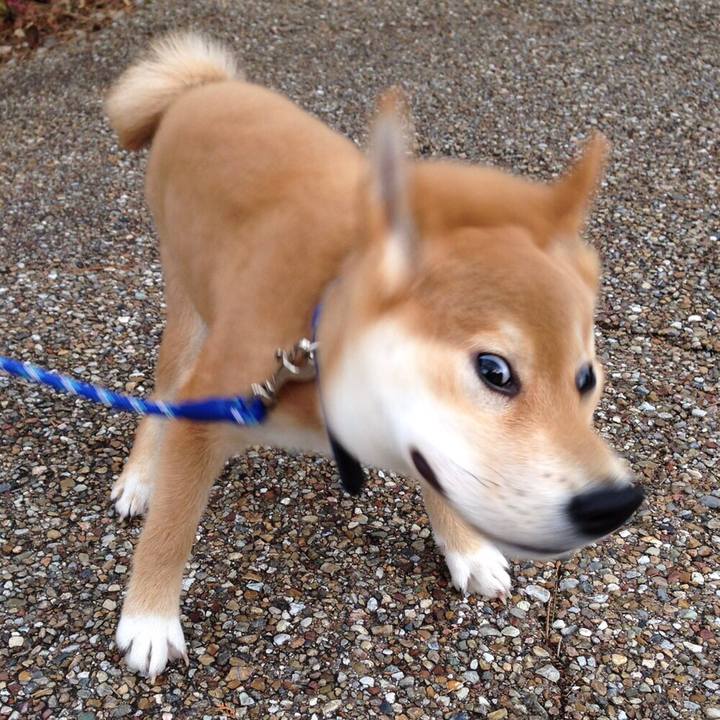 4ea534bf 9008 4c6c 9f5c 4c3ab03a5618 1525686235773