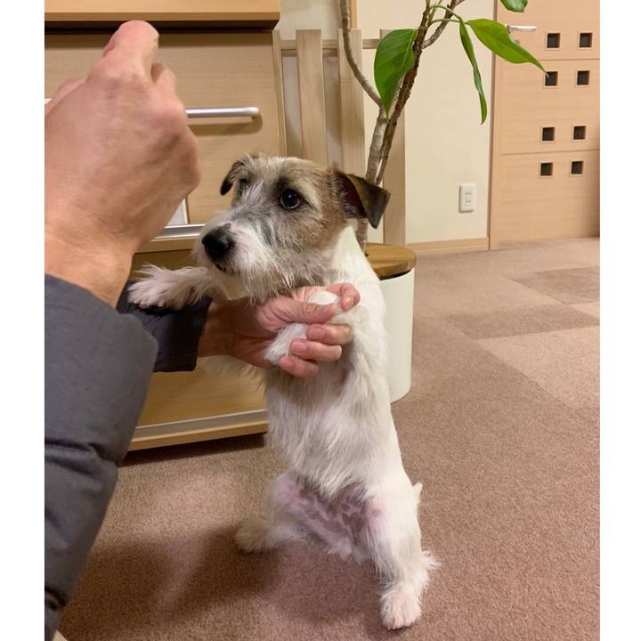 4ea55436 d273 46a4 aa90 a9885ec15b18 1580037858039