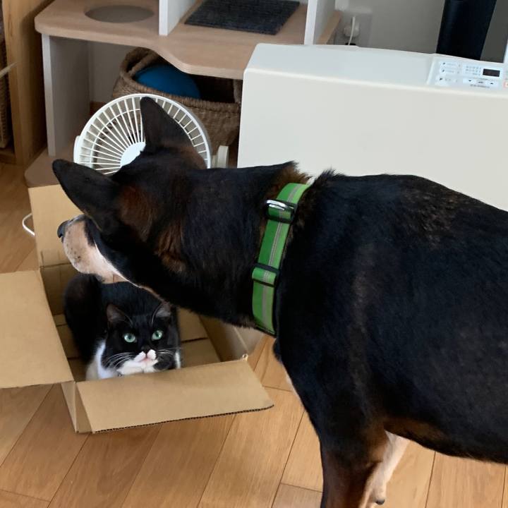 4ea578c2 1f39 4a88 8de4 03bd3e1cac9a 1554079747240