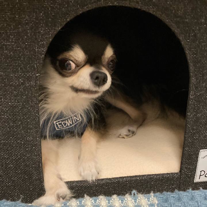 4ea5e2b8 d9ab 4a75 9d1f 478958c081da 1669475053808