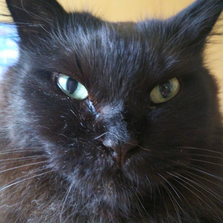 4ea5e695 be0d 41e8 a570 22362dba2334 1522277655945