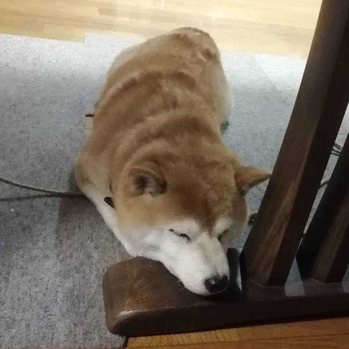 4ea616e2 a3de 4de9 b6e8 feb64148e12c 1626868092479