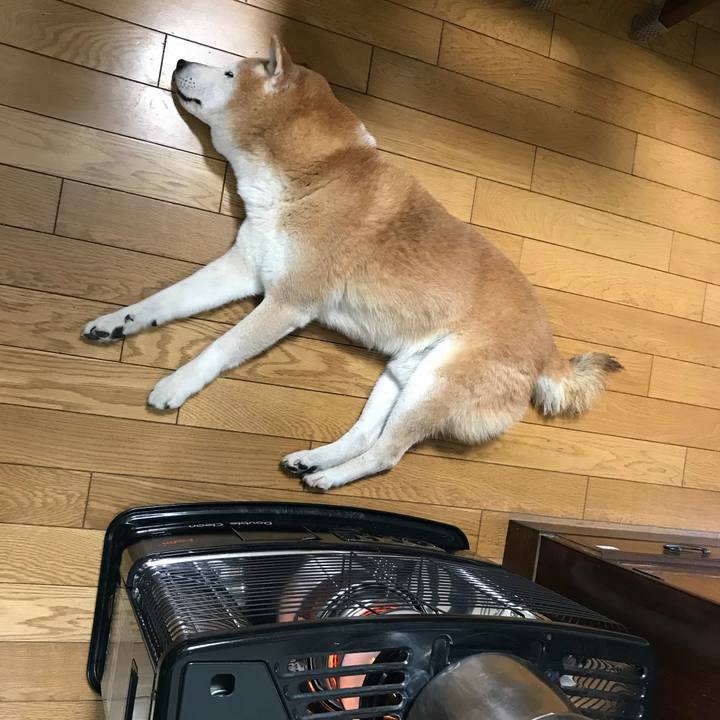 4ea62283 8c58 4066 9df0 bc9f9cfa9b08 1515289783397