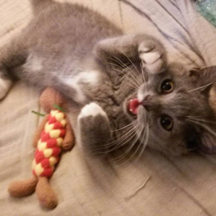 4ea630f9 df14 4aa0 b02c 36465d02f47e 1532290749532