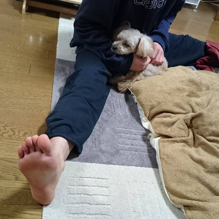 4ea65ba4 343d 4a11 aa8d e3c11dd8d993 1607342140212