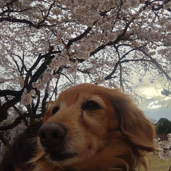 4ea6801f c49a 437e 84d2 428a900deeed 1743948727912