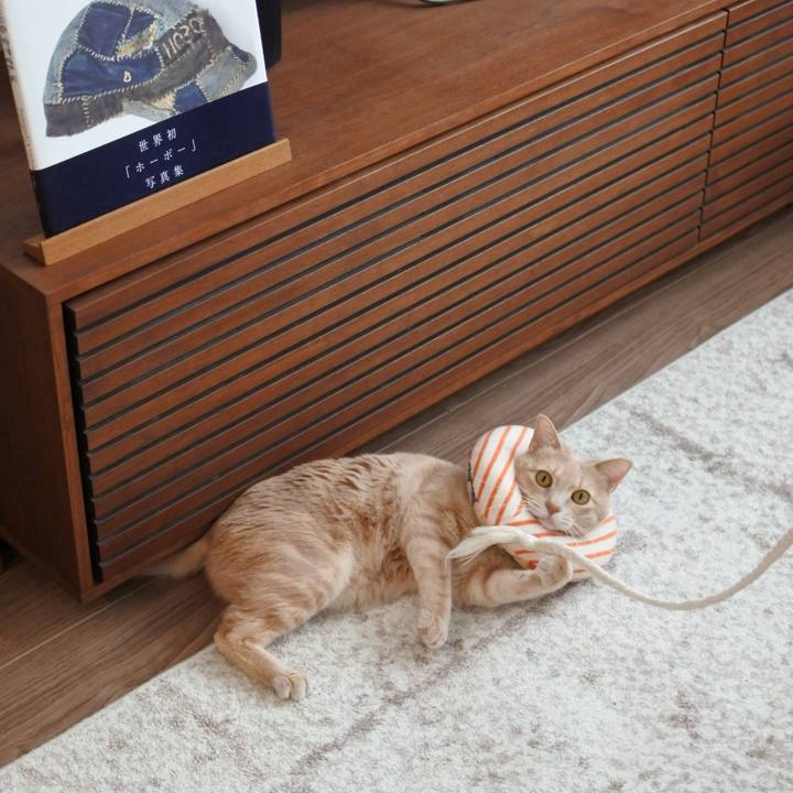 4ea69c7a c5f6 407b 8bf4 11869b13554a 1714462780950