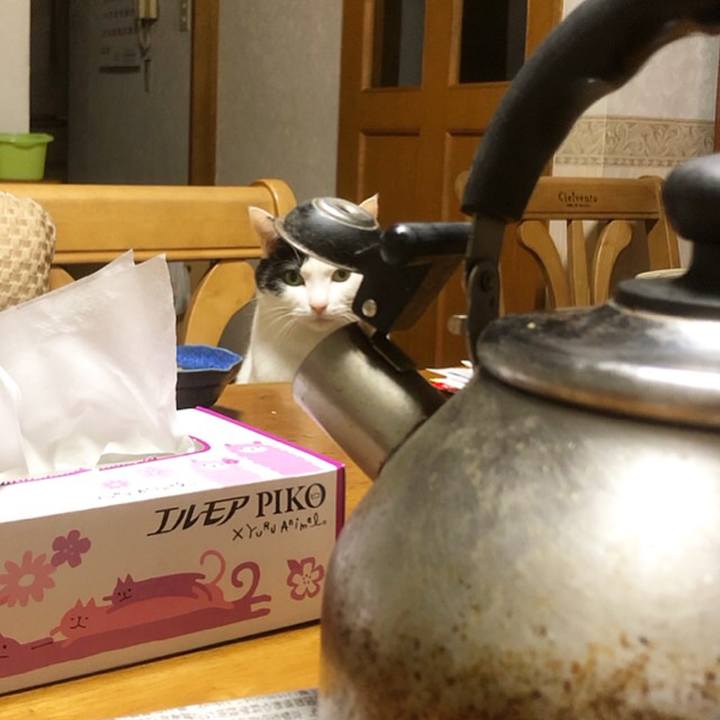 4ea70399 acef 49a3 83a5 62a9f7cdda72 1545236938343