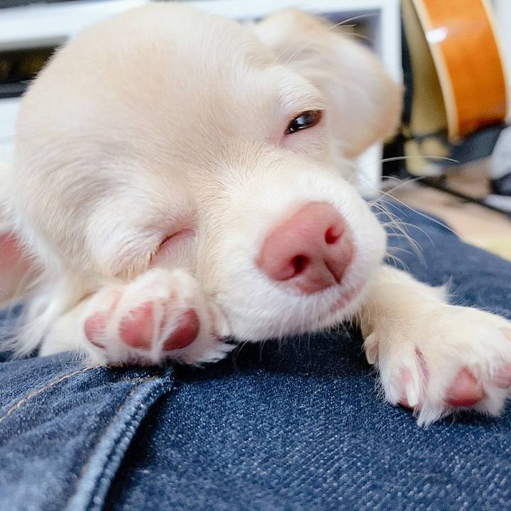 4ea708aa 38d0 47d0 b7f2 46ec21ff8d0b 1596808258139