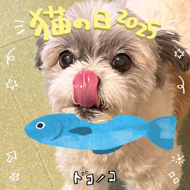 4ea71137 4eee 4c1d 91aa 3454e2f78b9b 1740195233705