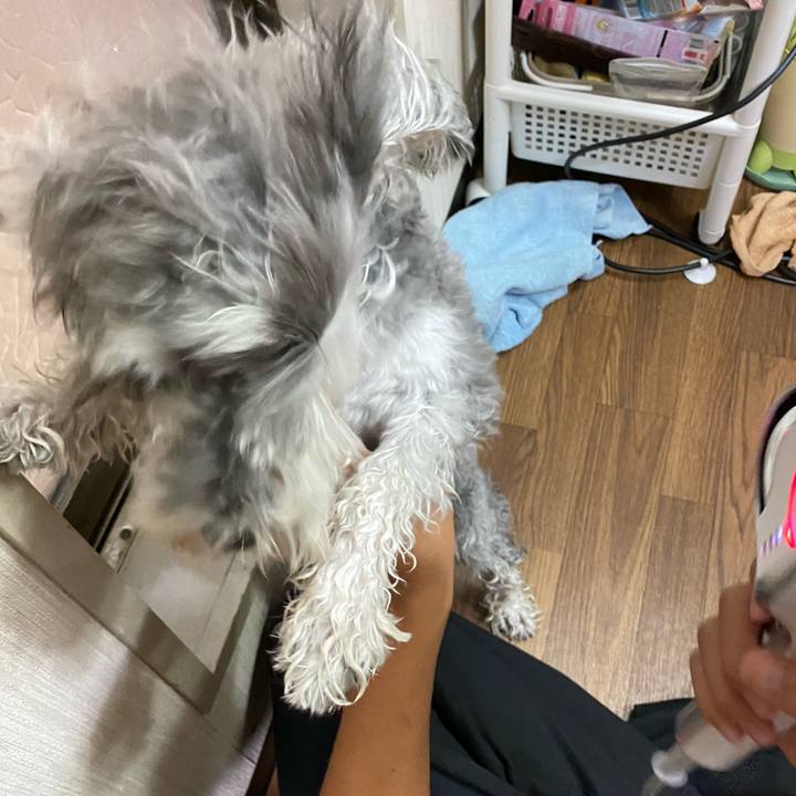 4ea80248 5962 4fd7 b3a0 676e966819f5 1602312121445